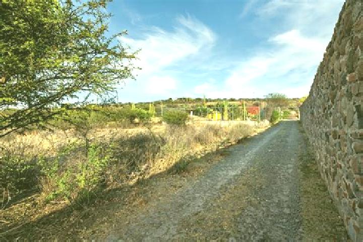 escort Don Juan Xido de Abajo (Cabras de Begona)