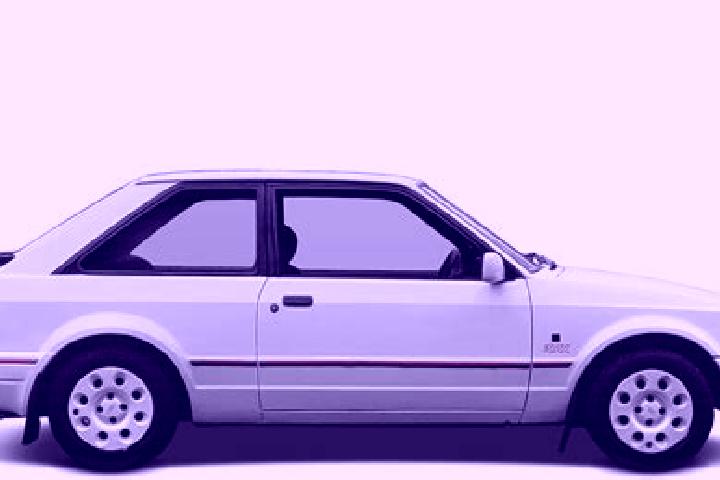 escort Dongjiao