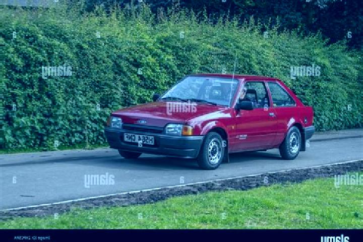 escort Dongyingfang