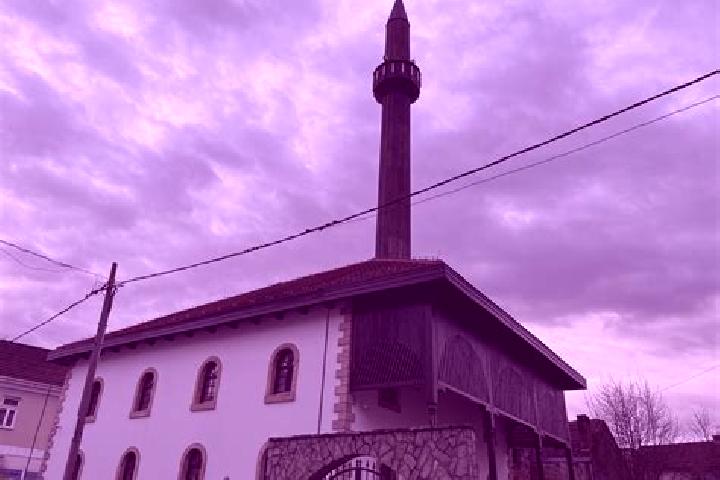 escort Donja Dubica