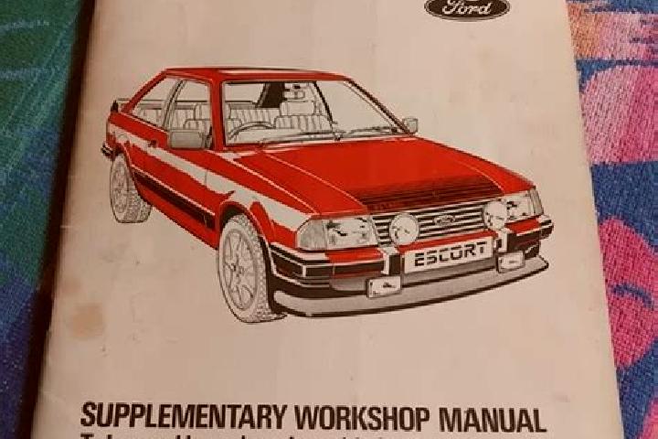 escort Donja Medida