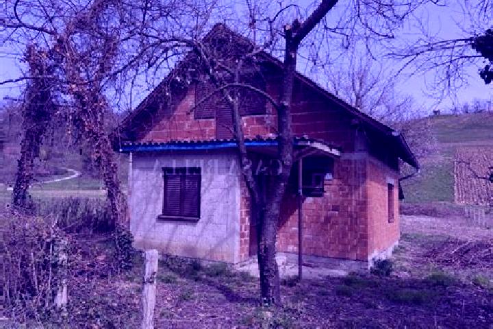 escort Donje Mrzlo Polje