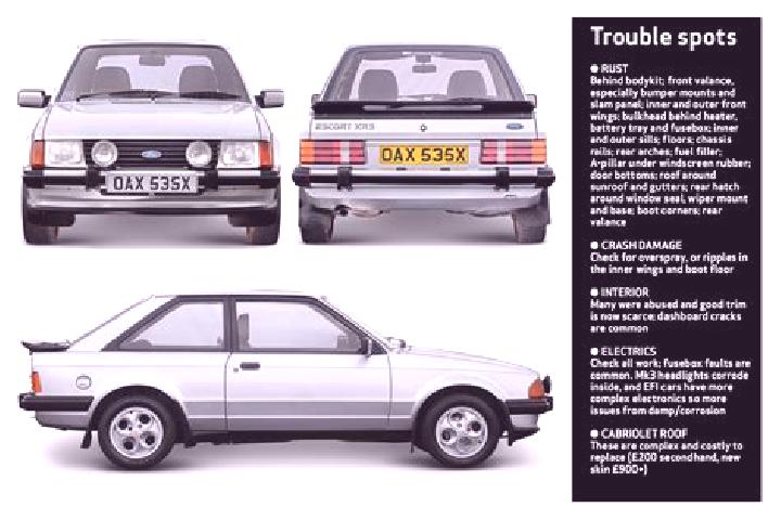 escort Donnybrook