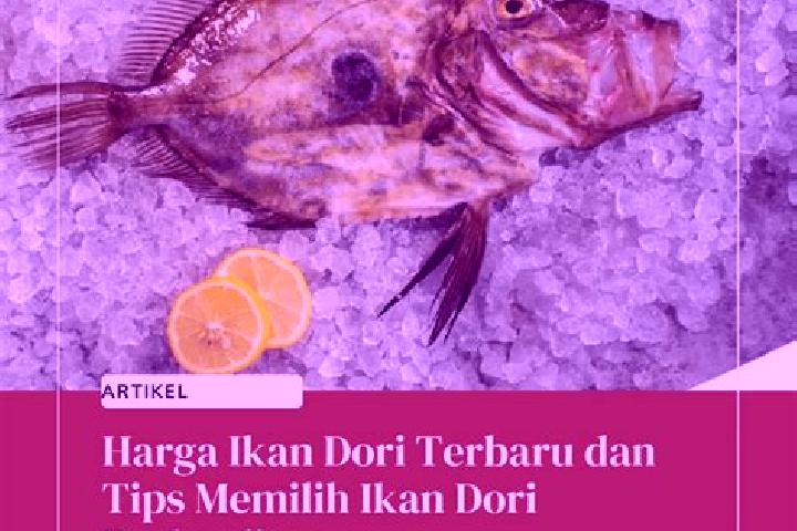 escort Dori