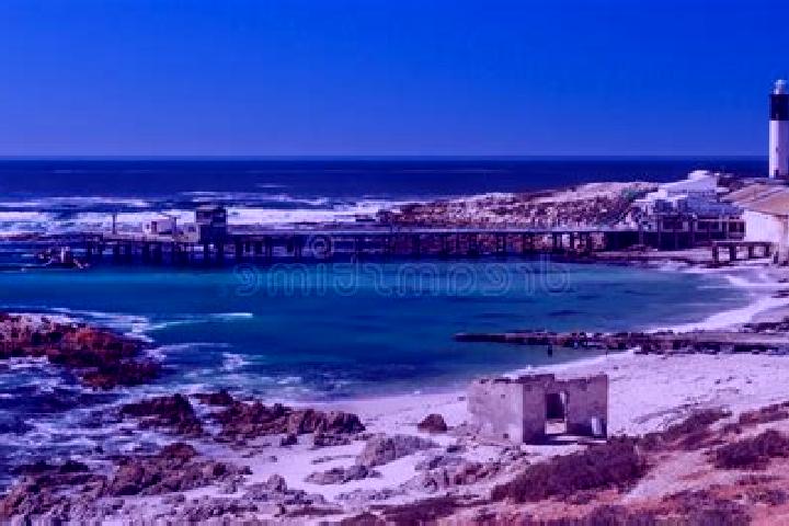 escort Doringbaai
