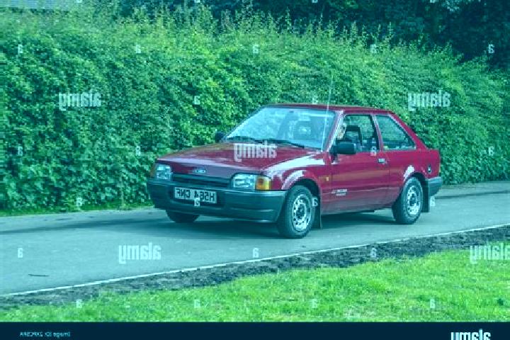 escort Dorog