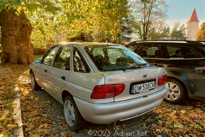 escort Dorohoi