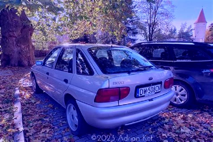 escort Dorsel