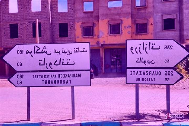 escort Douar el Caid el Gueddari