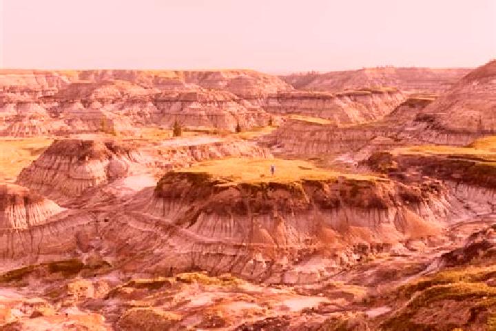 escort Drumheller