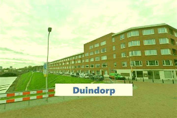 escort Duindorp