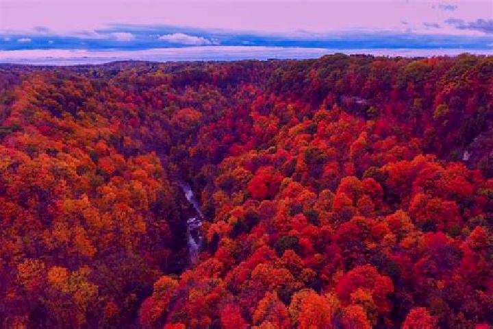 escort Dundas Valley