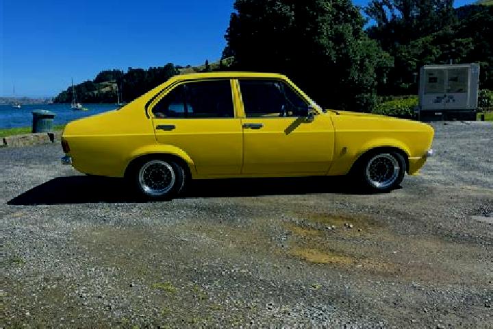 escort Dunedin