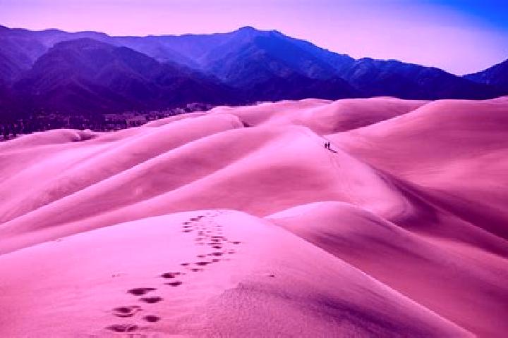 escort Dunes City