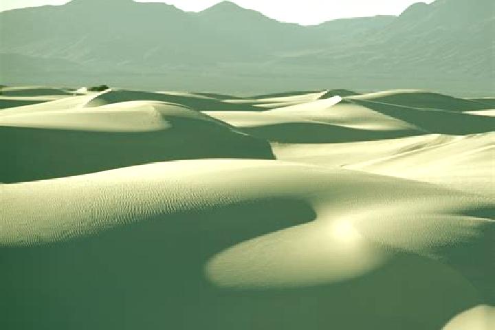 escort Dunes