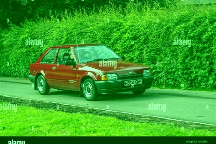 escort Durnford