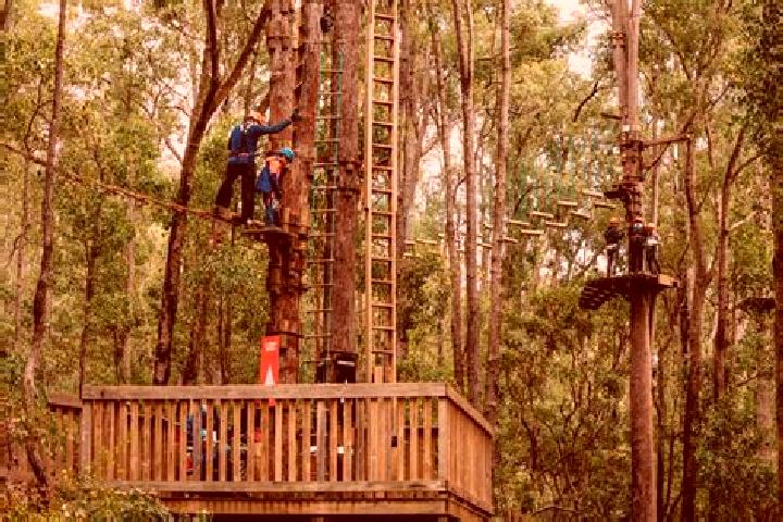 escort Dwellingup