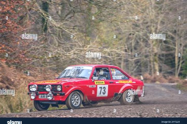 escort East Dean
