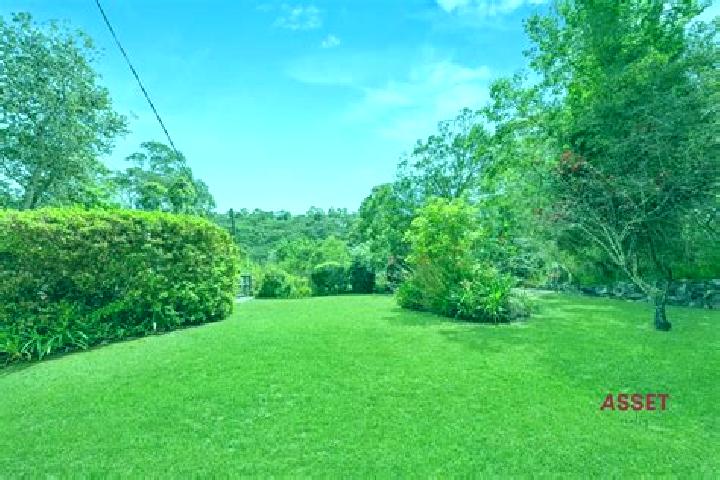escort East Killara