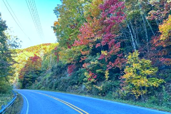 escort East Machias