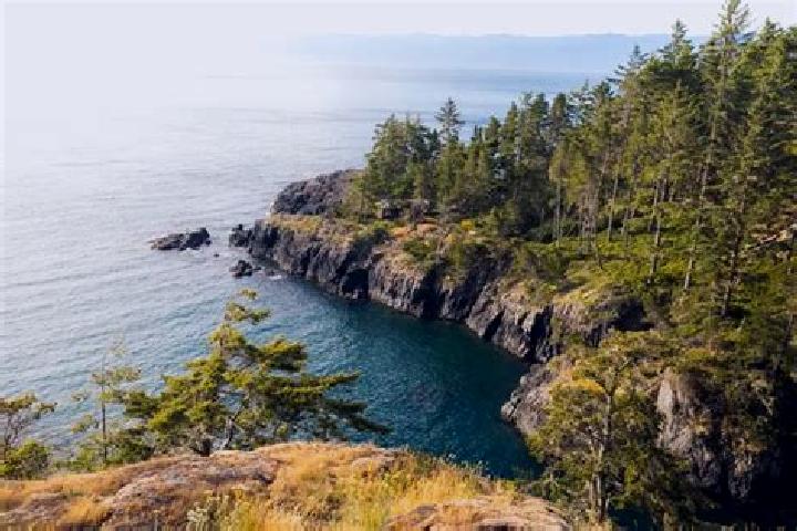 escort East Sooke