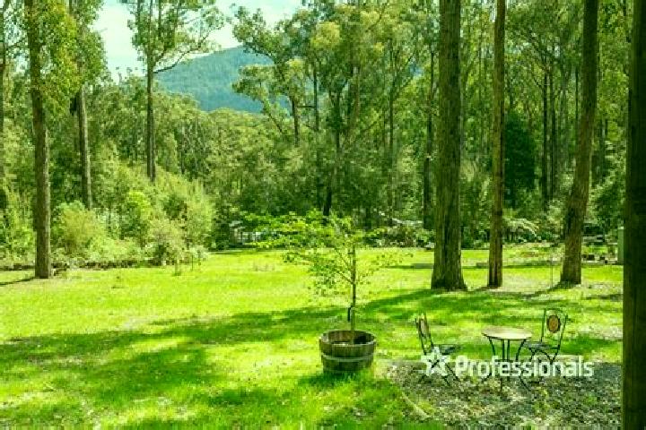 escort East Warburton