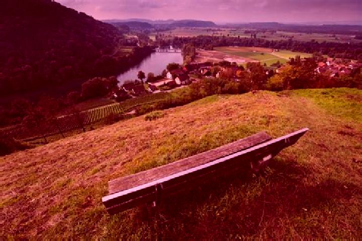 escort Effingen