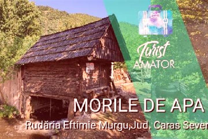 escort Eftimie Murgu
