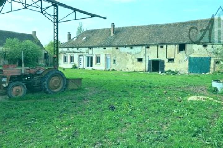 escort Egriselles-le-Bocage