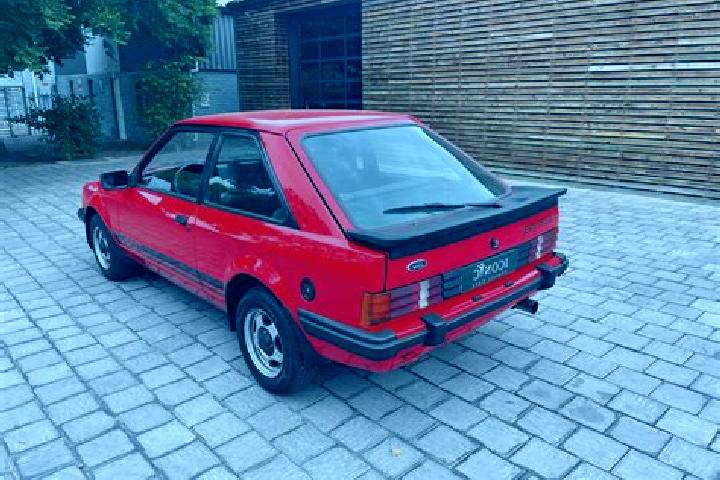 escort Eichfeld