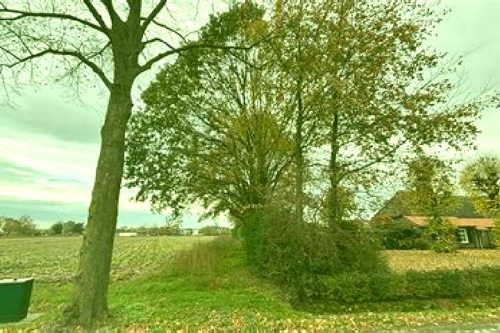 escort Eikenheuvel