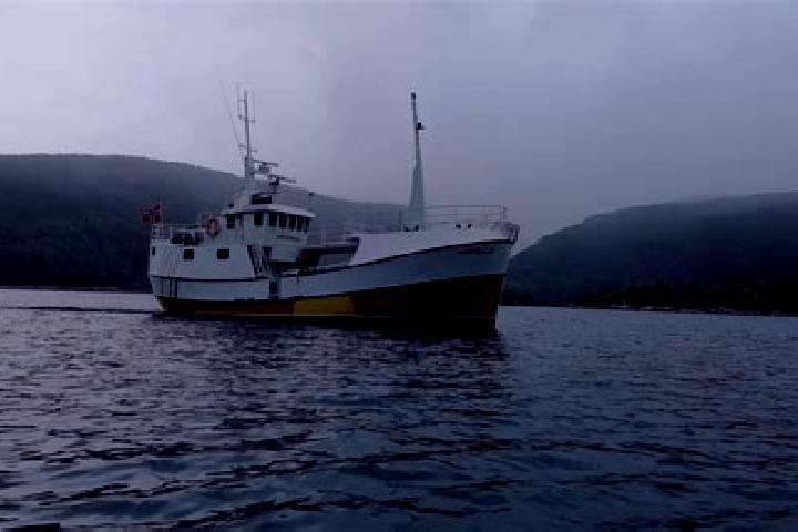 escort Eivindvik