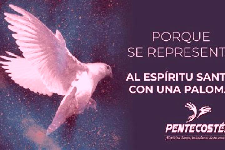 escort Ejido la Paloma
