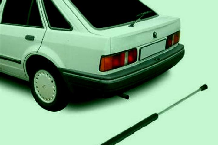 escort El Baul