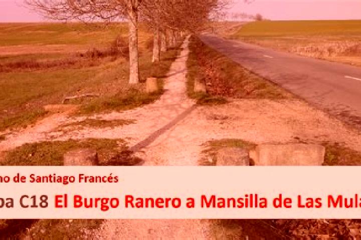 escort El Burgo Ranero