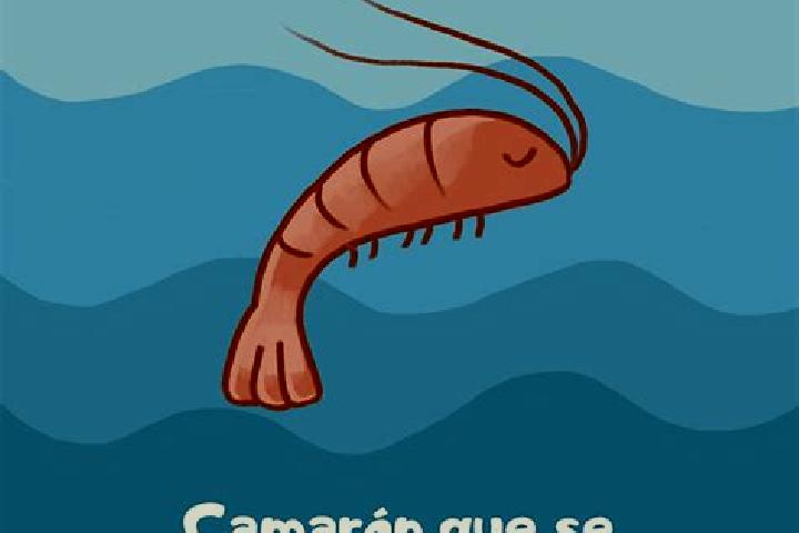 escort El Camaron