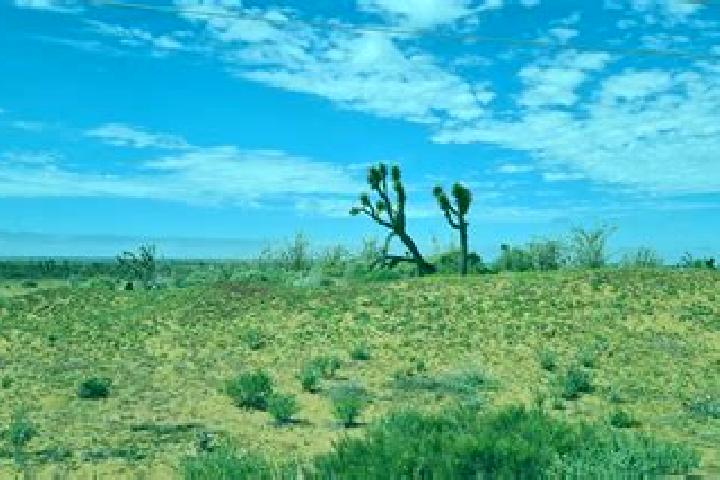 escort El Carmen (El Desierto del Carmen)