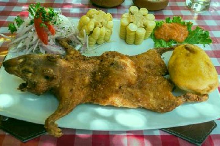 escort El Cuy