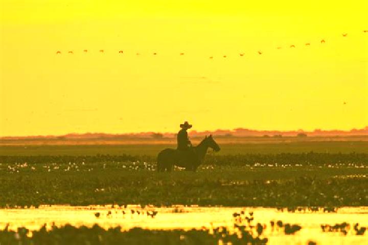 escort El Llano de los Vela