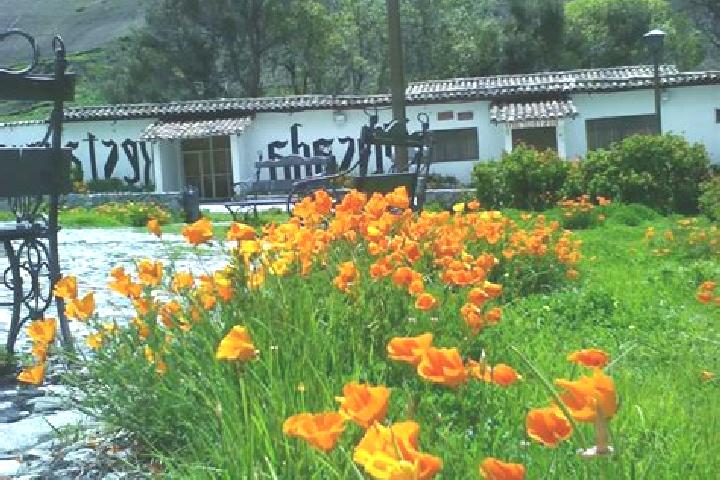 escort El Manzanito Tepantepec