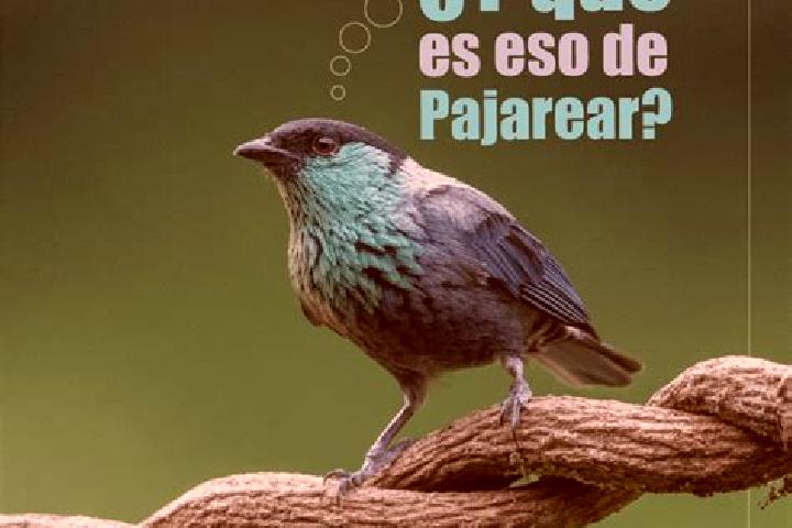 escort El Paujil