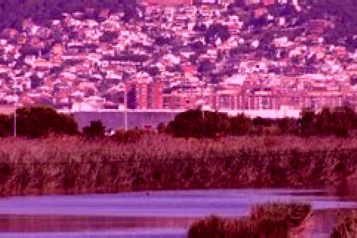 escort El Prat de Llobregat