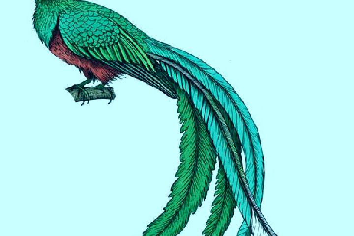 escort El Quetzal