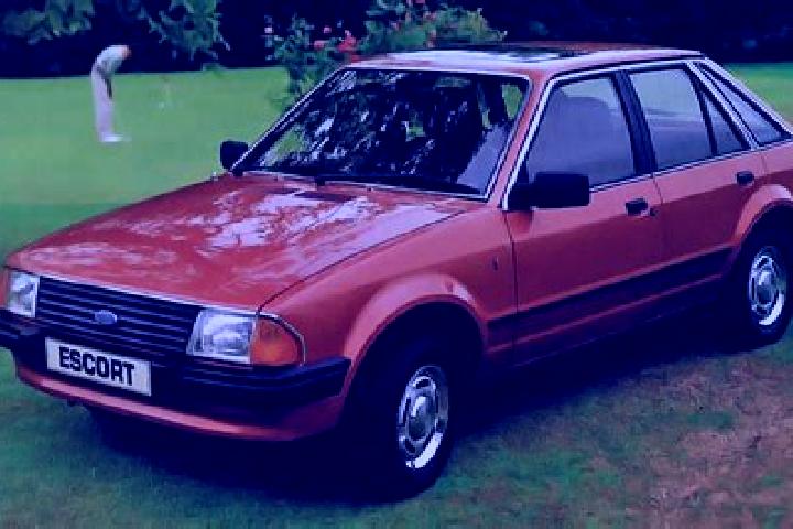 escort El Sauce