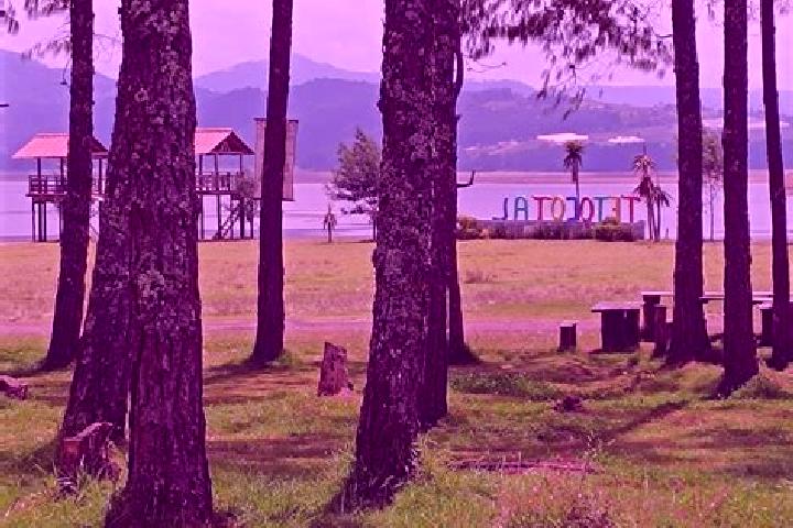 escort El Tejocotal
