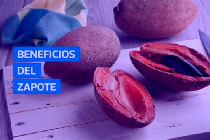 escort El Zapote