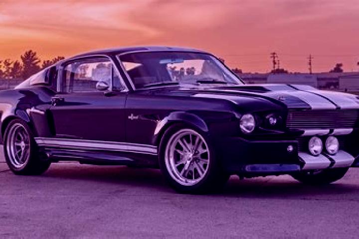 escort Eleanor
