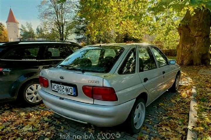escort Elemir