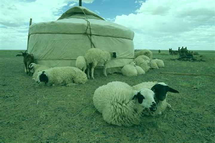 escort Elin-Yurt