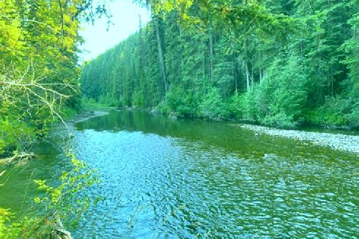 escort Elk Creek
